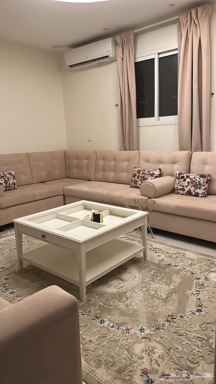 Full council with a star64391508580739112