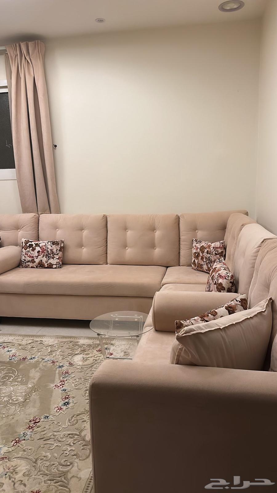 Full council with a star64391508580739111