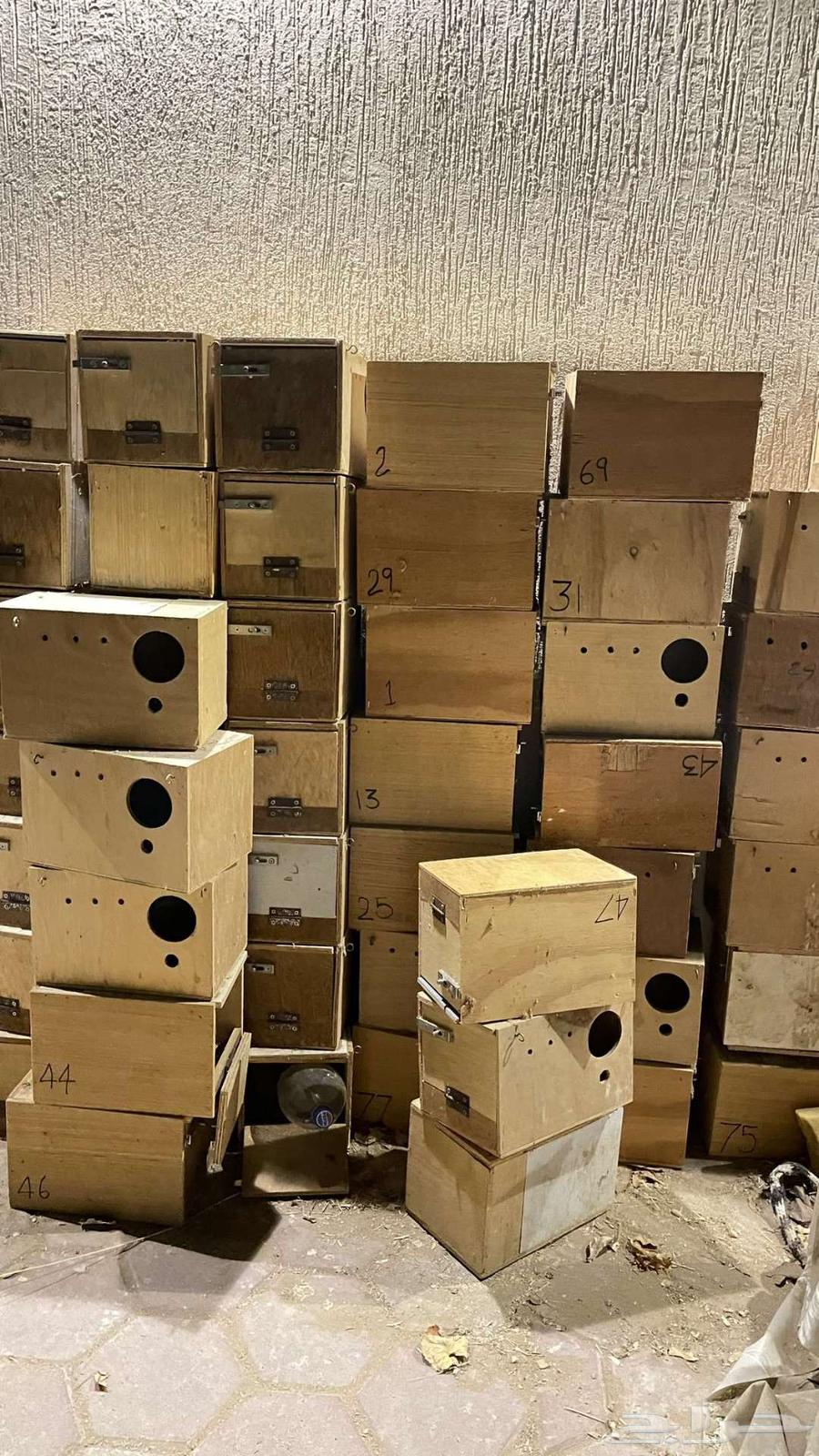 اقفاص 601 وبياضات مستعمله ونضيفه64392662466433112