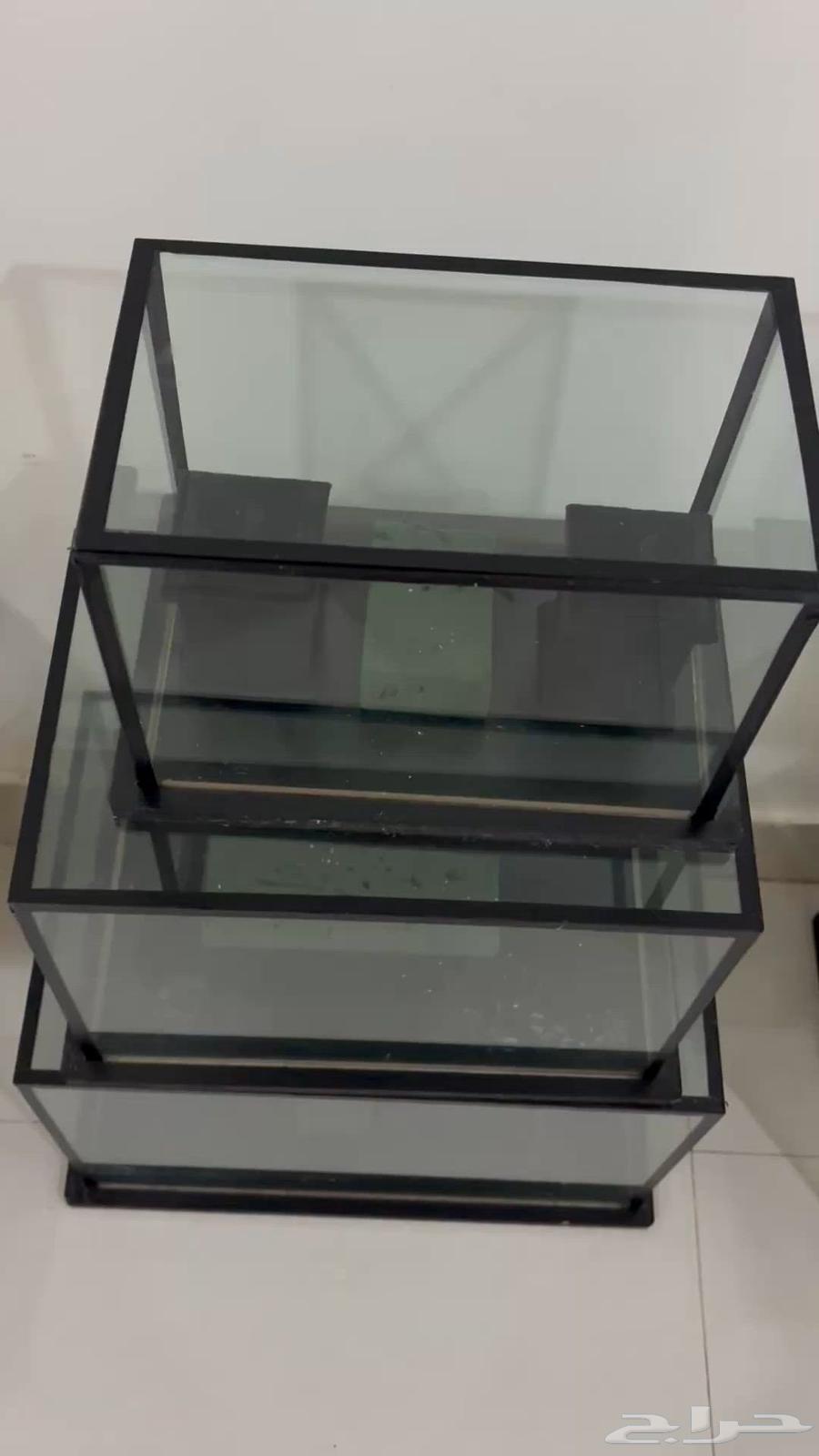 New bride dowry boxes for 3 hours of use64392923377411110