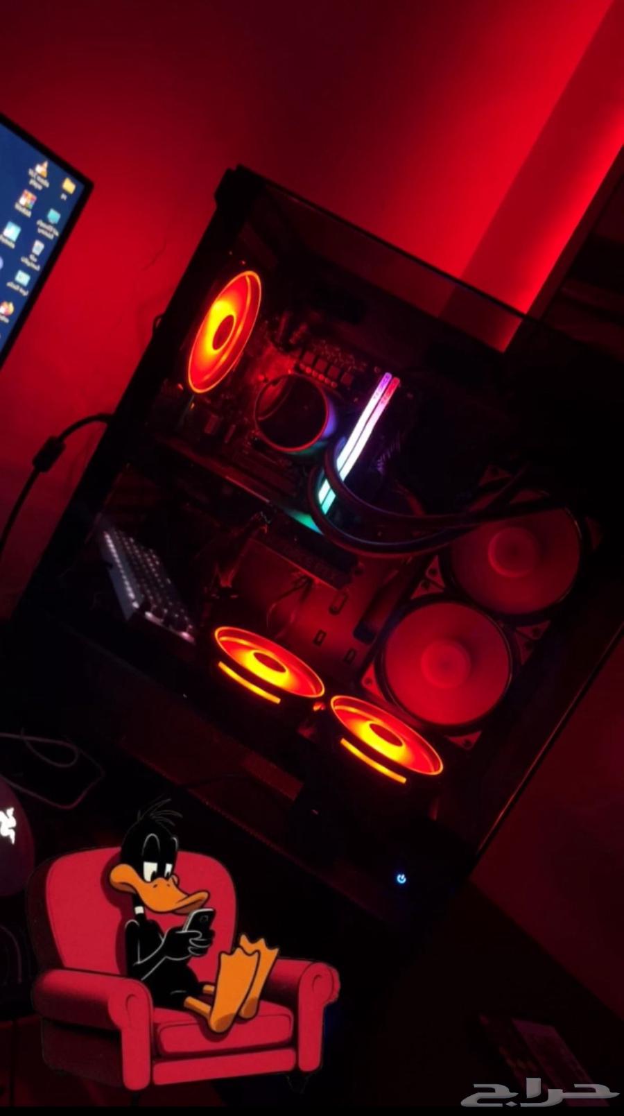 بي سي64387536788995113