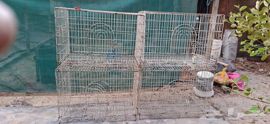 اقفاص حديد للبيع64381920290817110