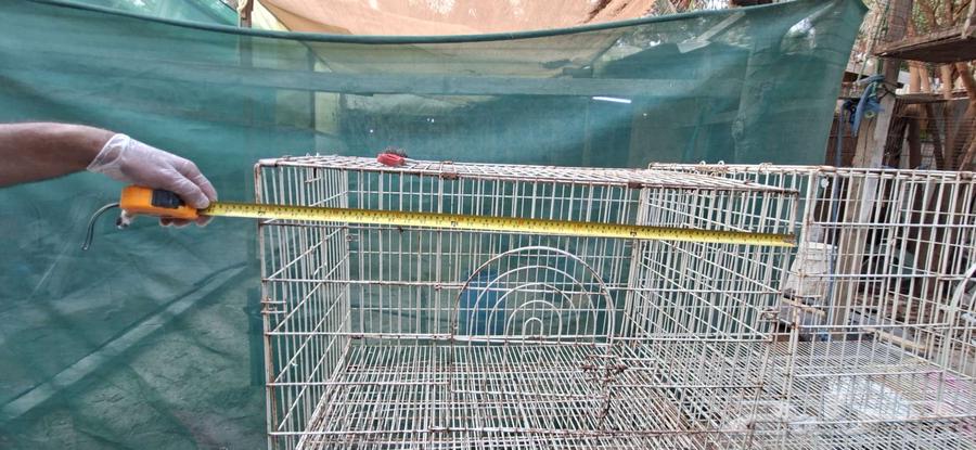 اقفاص حديد للبيع64381920290817114