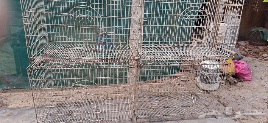 اقفاص حديد للبيع64381920290817111