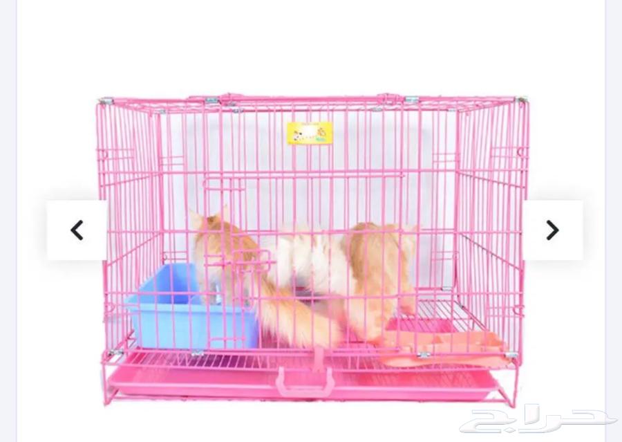 قفص حيوانات   قطط64402378050945110