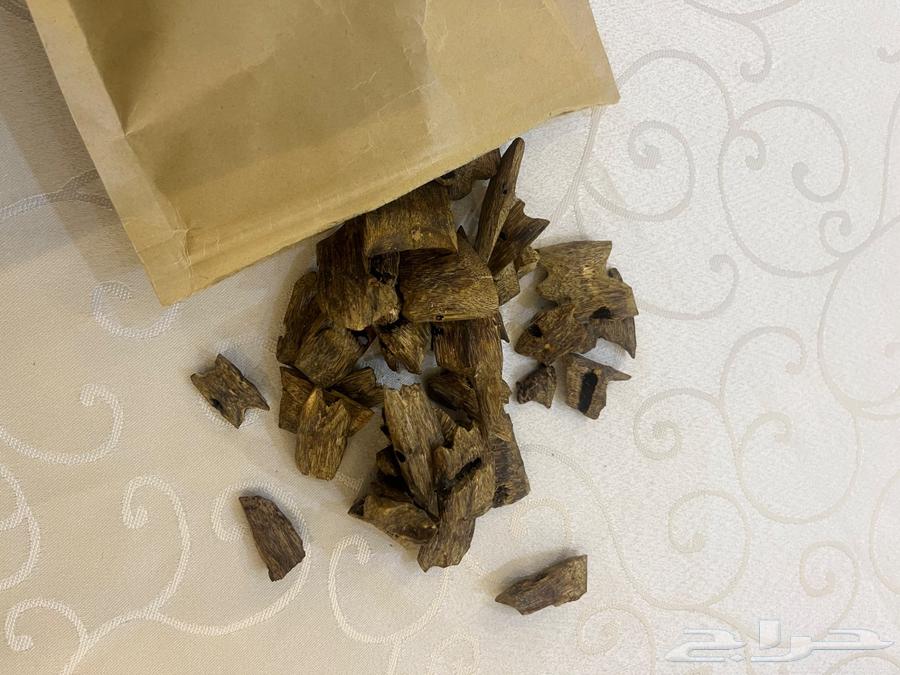 عود كينام64380419996929113