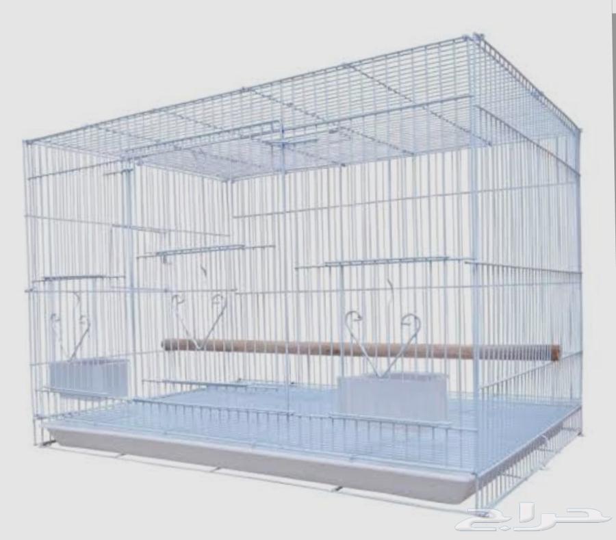 نوفر صوص بط للبيع مع الملحقات64372623937921110