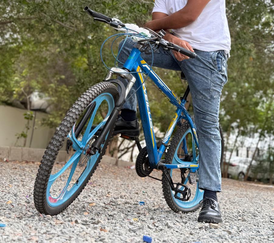 دورة الألومنيوم64538204350082112