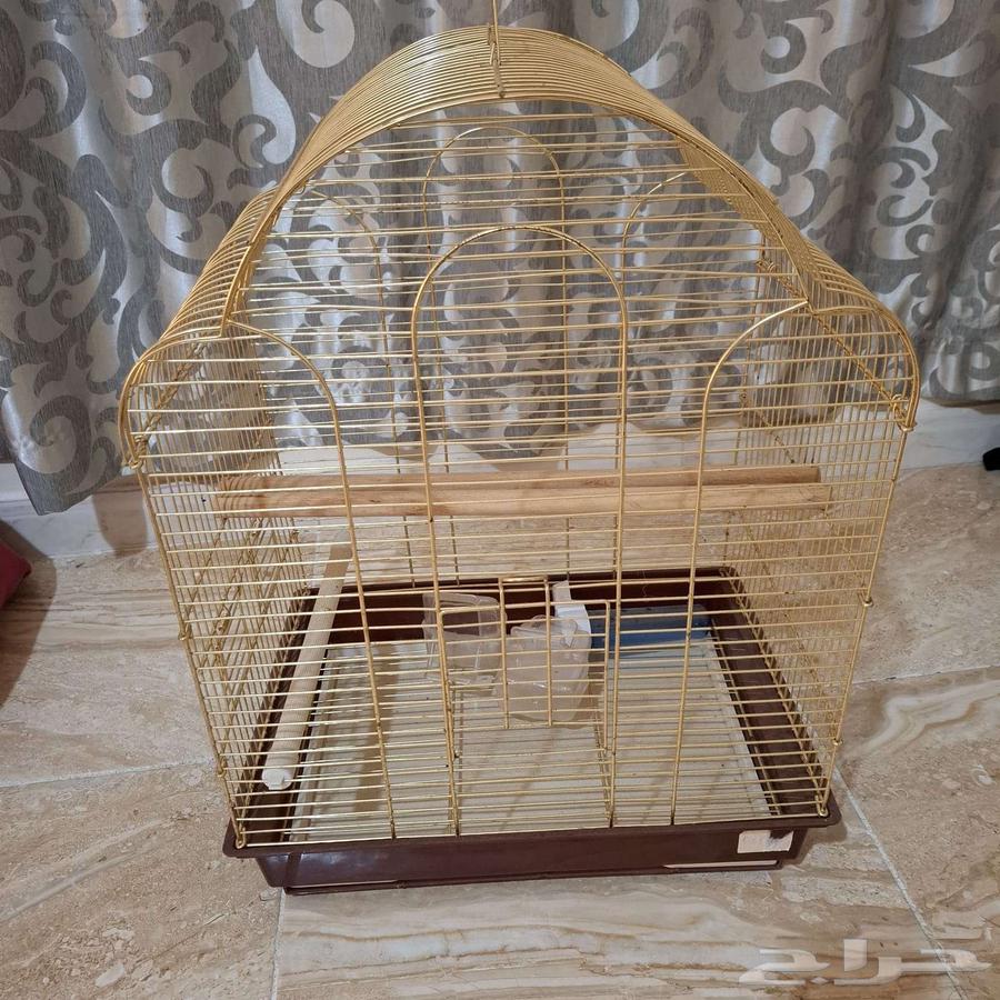 للبيع مستعجل  سرير أطفال وألعاب وأغراض منزلية64386207013889113