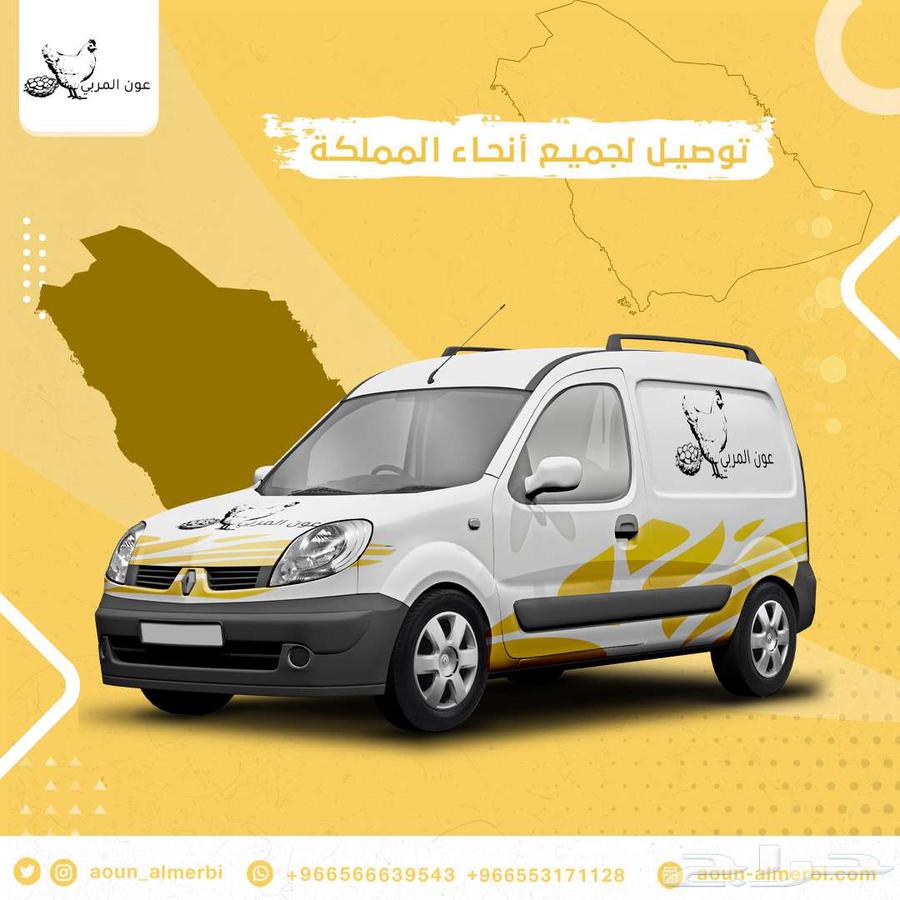 فقاسة بيض فل اوتوماتيك 500 بيضه64381370211458114