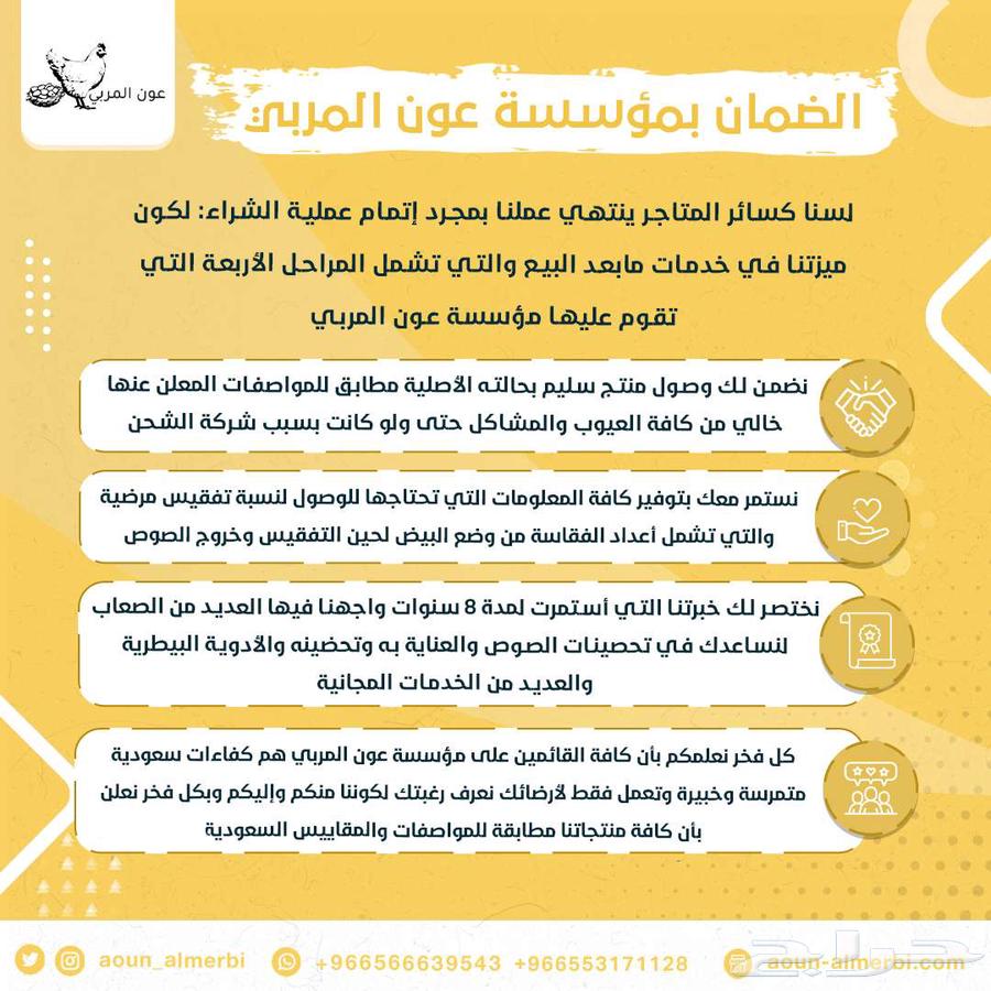 فقاسة بيض فل اوتوماتيك 500 بيضه64381411004547113