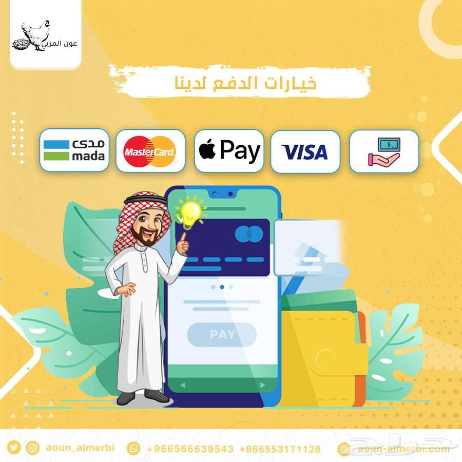 فقاسة بيض فل اوتوماتيك 500 بيضه64381452502913114