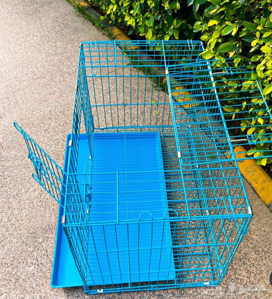 شبك قطط او كلاب64393610337537112