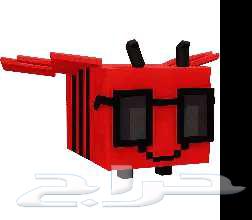 ماب المزرعه كيت احمر راكون و اشياء ثانيه64398131189762113