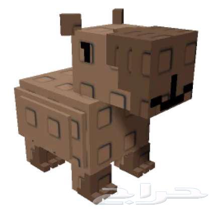 Grow A Garden هيوج تيتان كابيبارا   French Fry Ferret64400605177729110