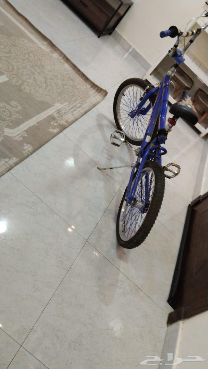 سيكل الكوبرا64400203798145111