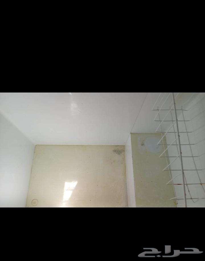 المدينة المنورة حي شظاه64396020408067110