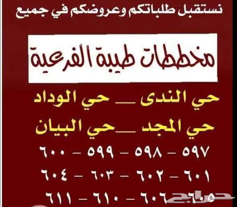 للبيع ارض في طيبه الفرعية 598 حي الوداد على شارع 25 غربي63614090946307114