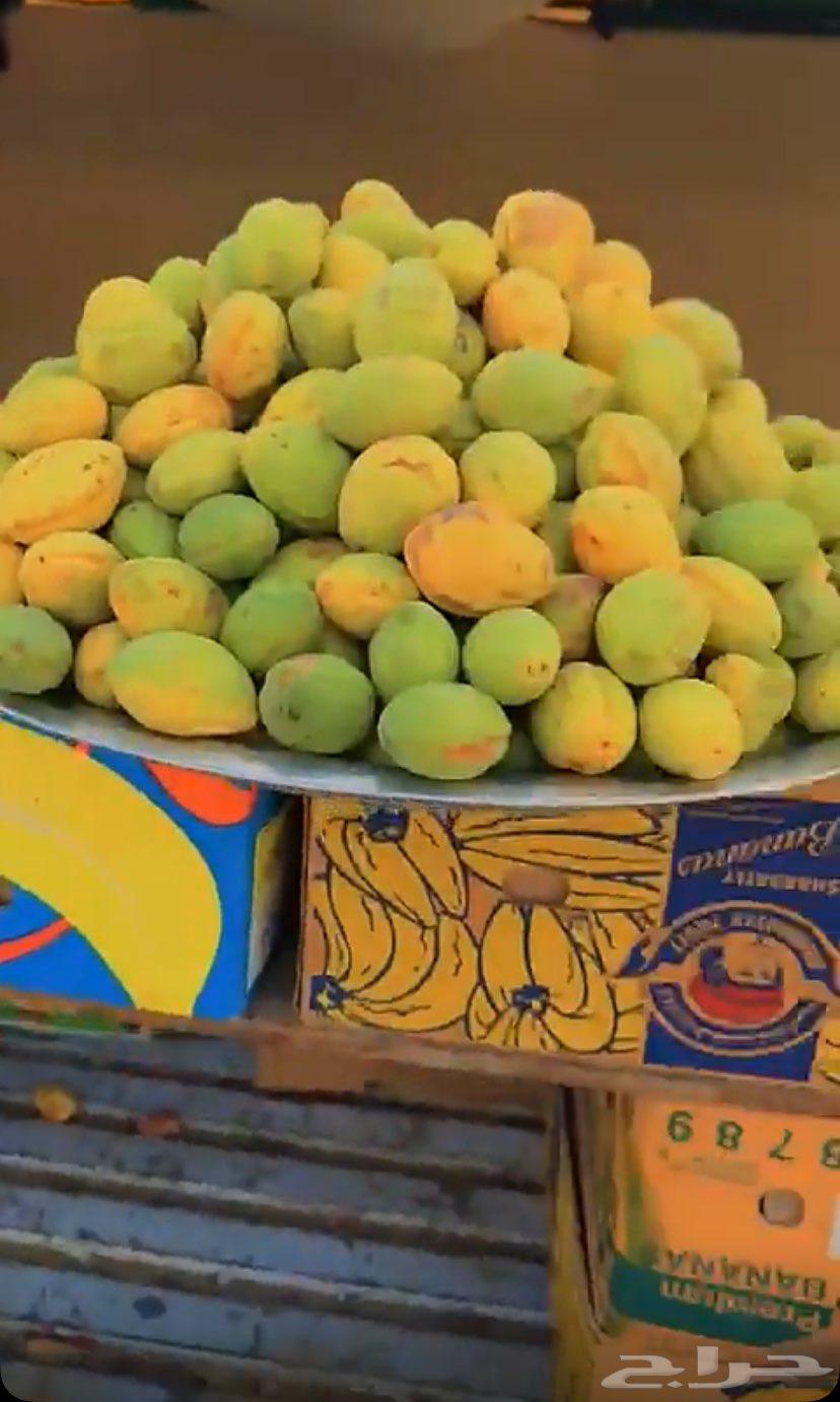 لوز ممتاز ويوجد توصيل64398883890434110