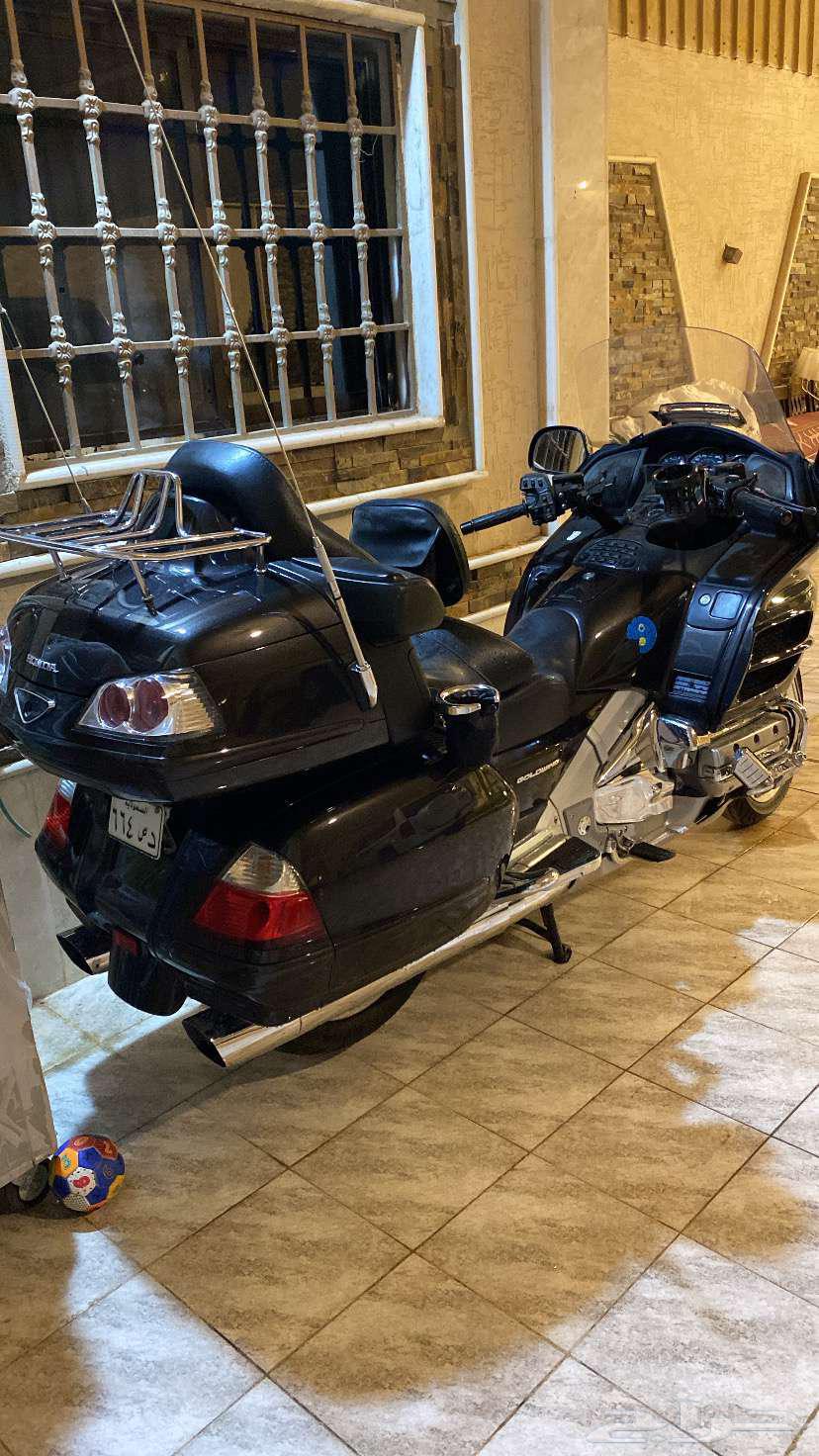 دباب هوندا 2010 قولد64540595201026111