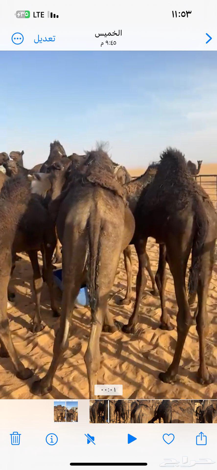 مفروده للبيع64397005234178112