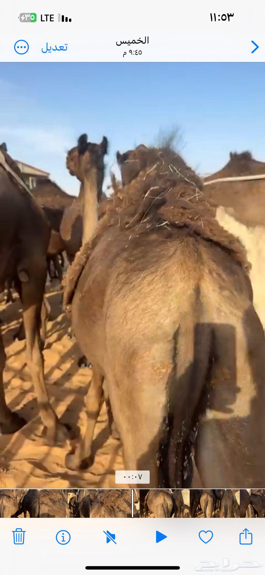 مفروده للبيع64397005234178113