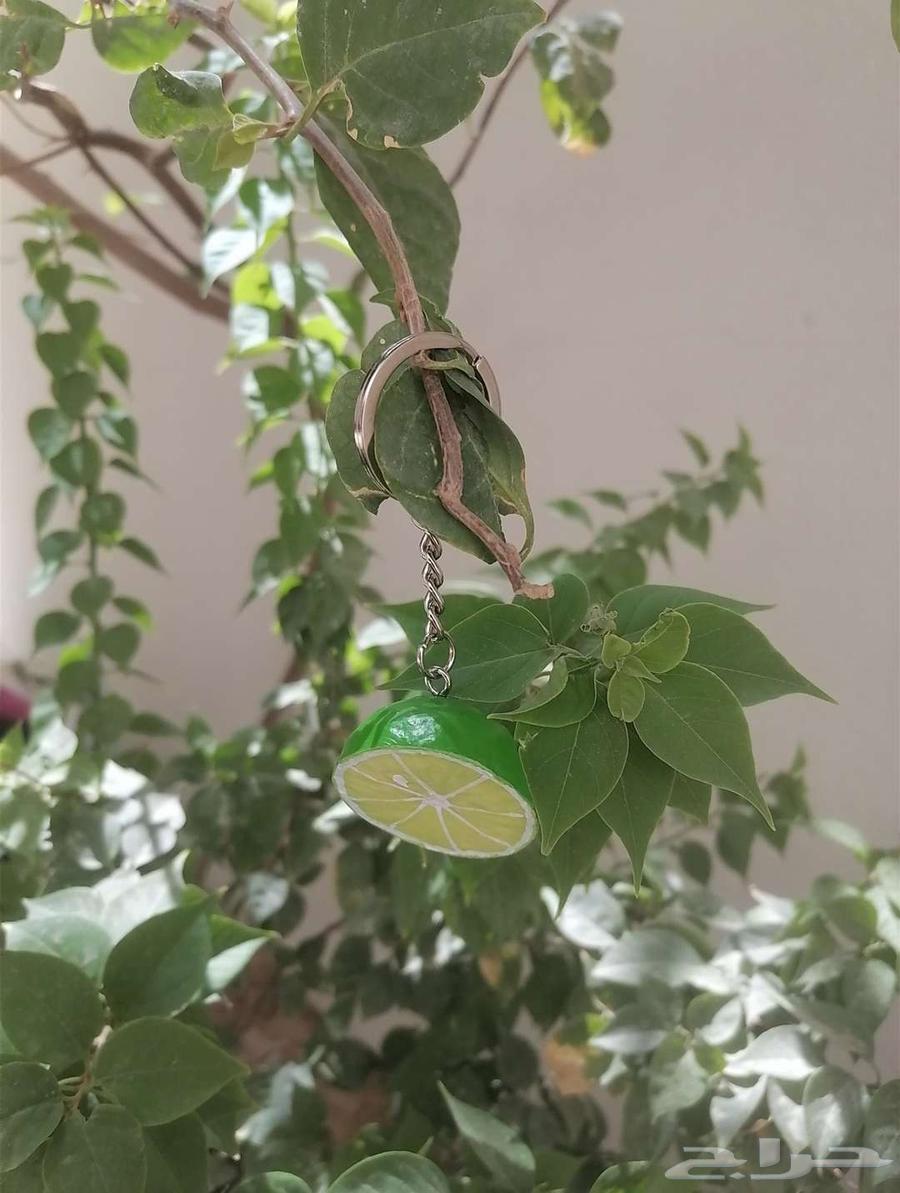 ميدالية الليمونه للبيع64398256697218110