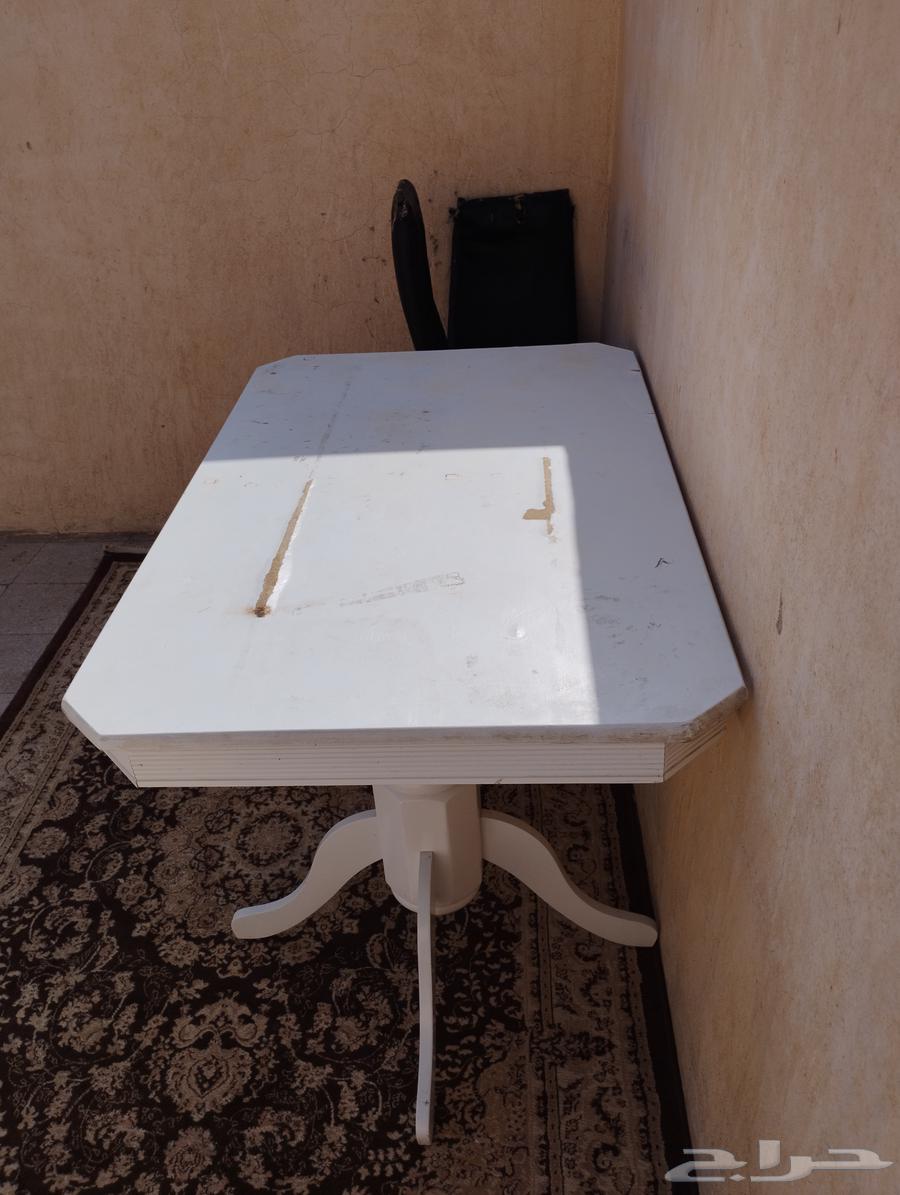 مجانا اتوصيل داخل المدينة المنورة طوله حلوه البيع64399521753986114