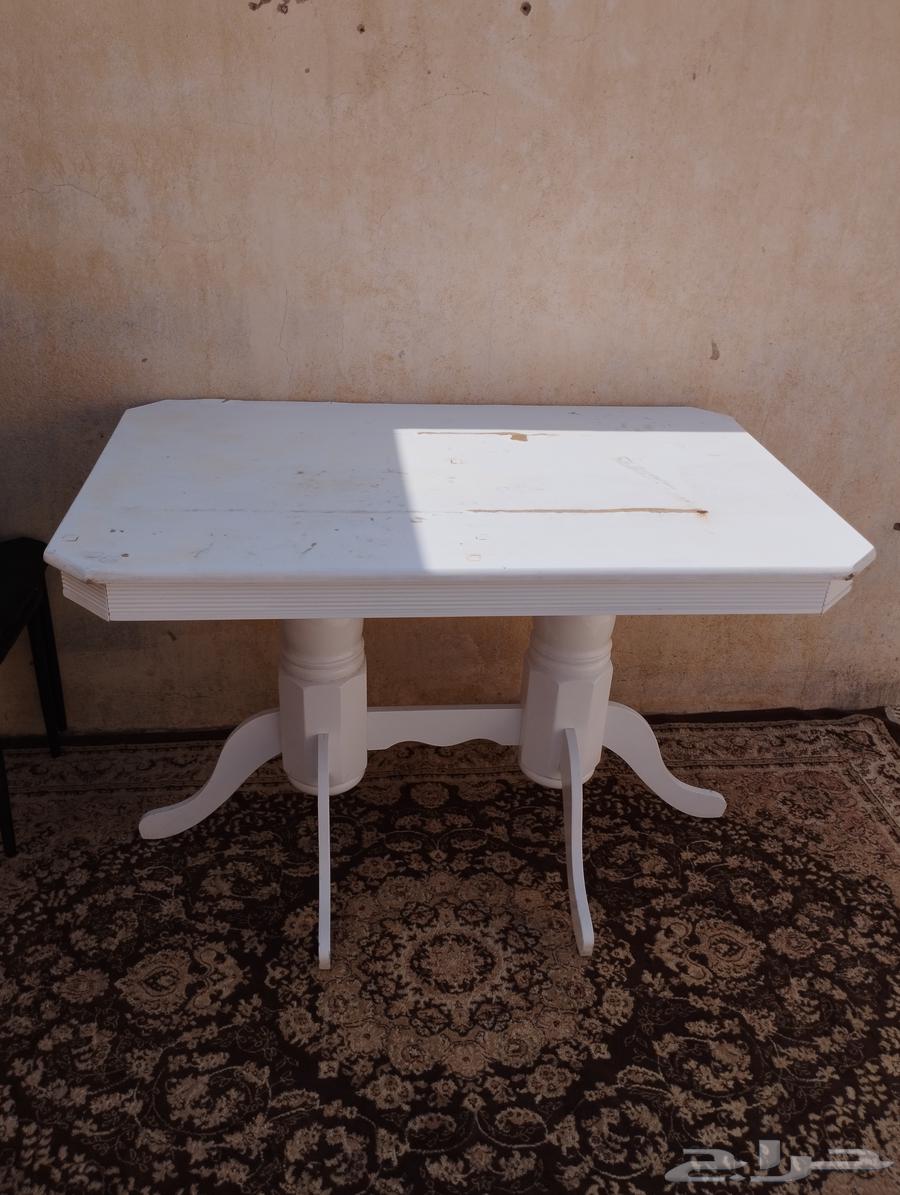 مجانا اتوصيل داخل المدينة المنورة طوله حلوه البيع64399521753986112