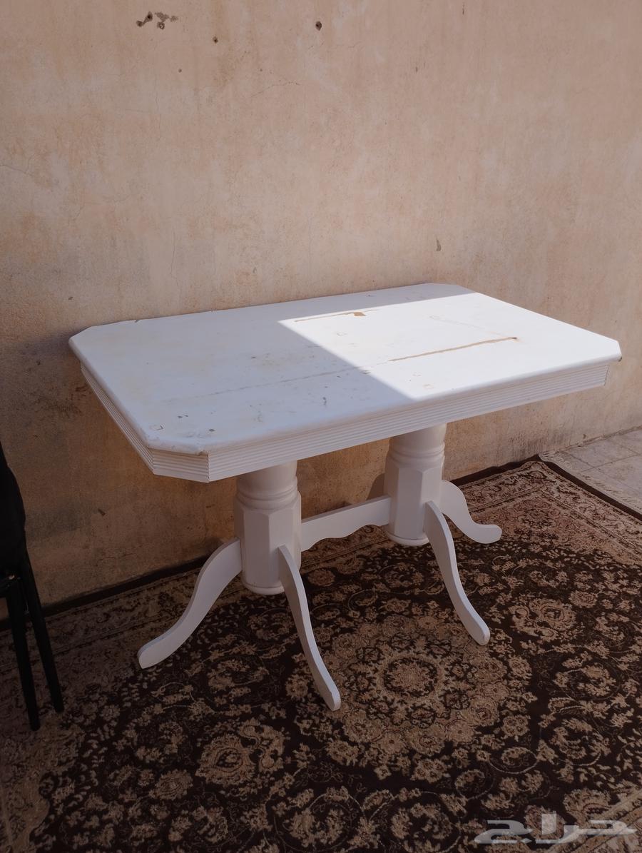 مجانا اتوصيل داخل المدينة المنورة طوله حلوه البيع64399521753986110