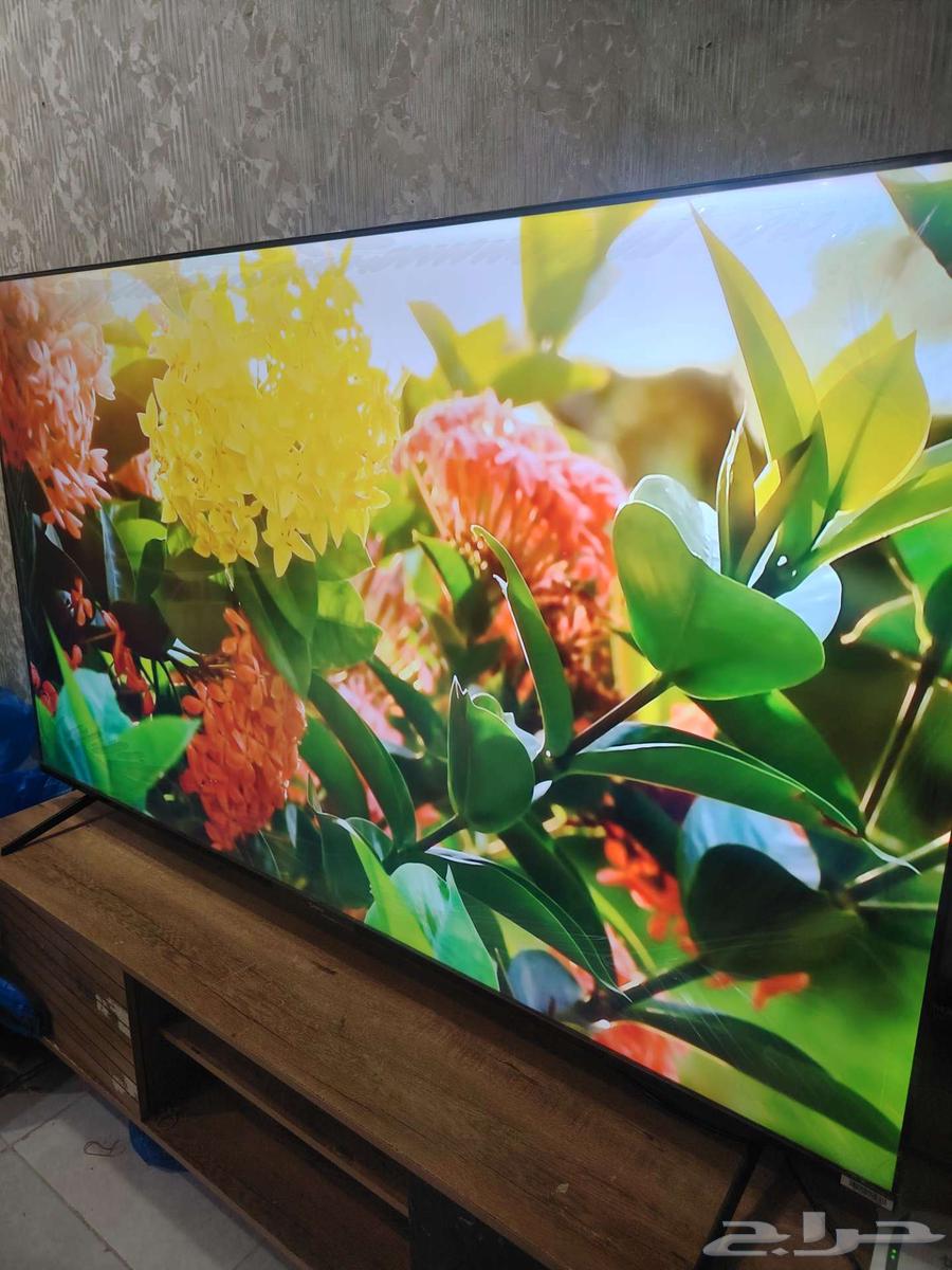 Nadko 75-inch Smart Screen, Large Size64398785708802112