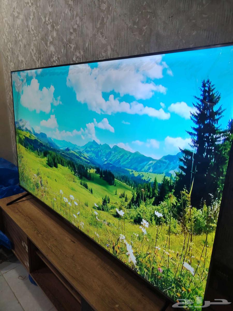 Nadko 75-inch Smart Screen, Large Size64398785708802111