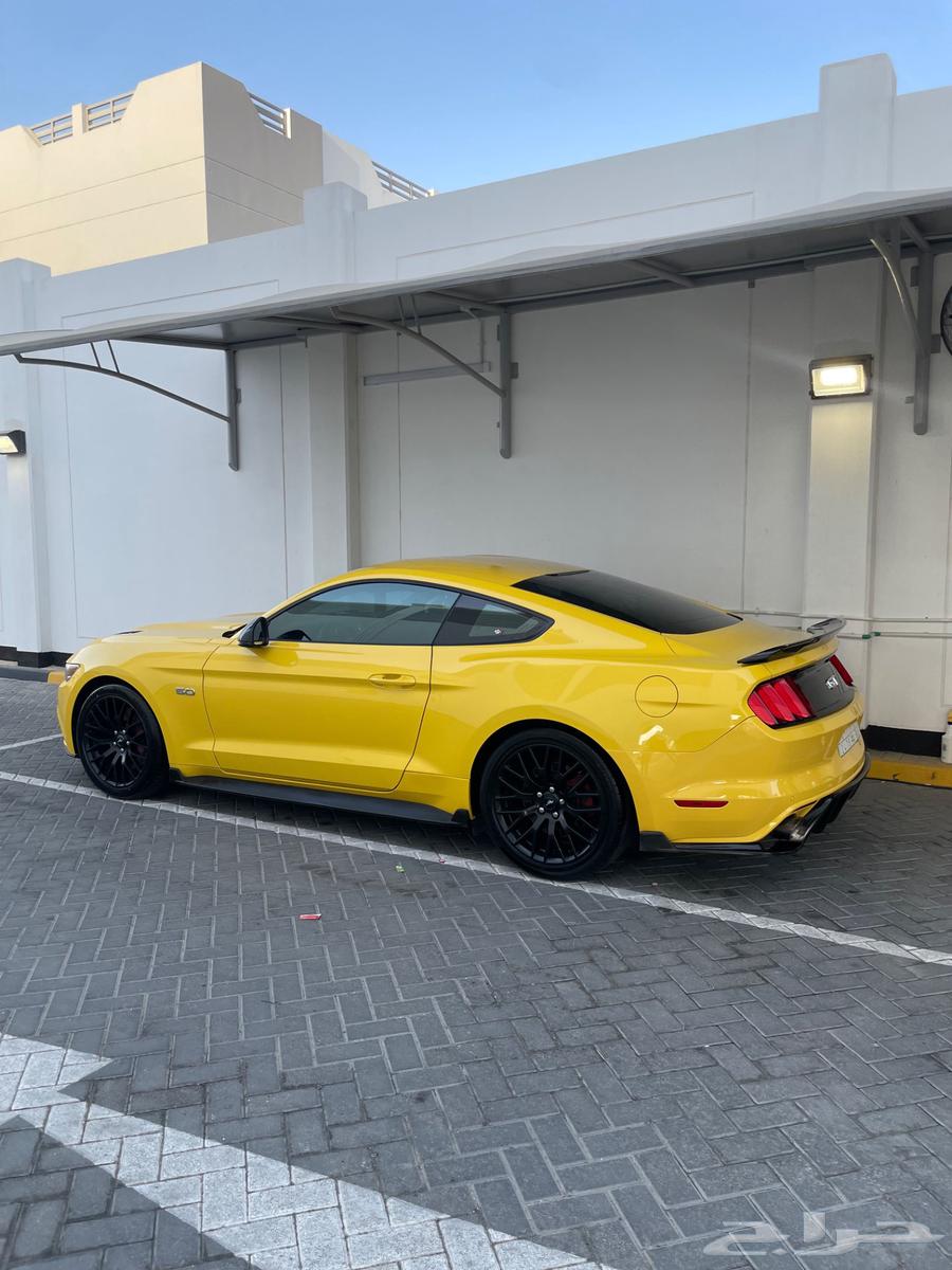 جنوط موستنج بيرفورمنس بكج64573991850113110