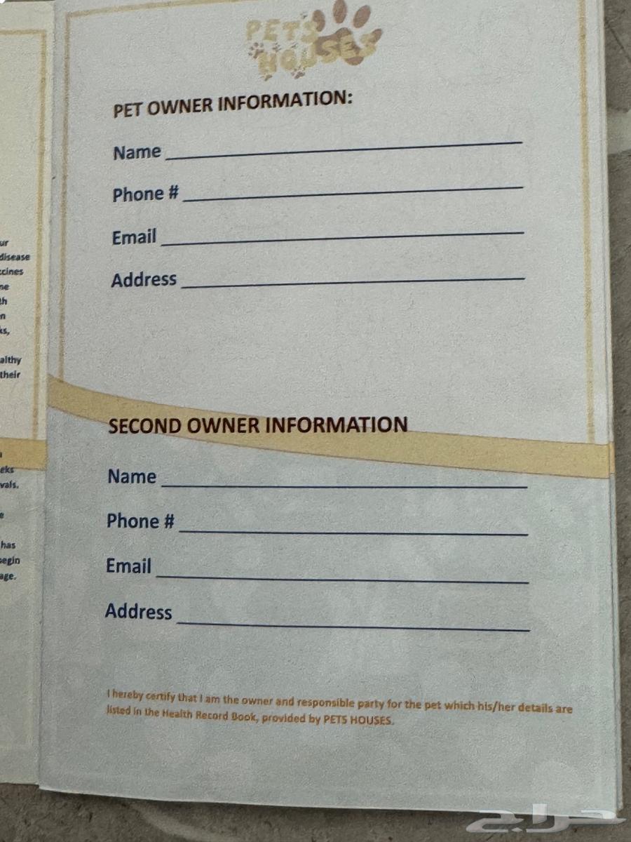 قط من نسل. سلالة خاصة64399410924417112