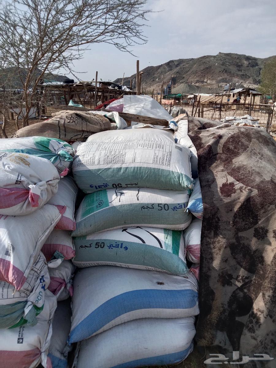 سماد أغنام لأهل المزارع64400314392451111