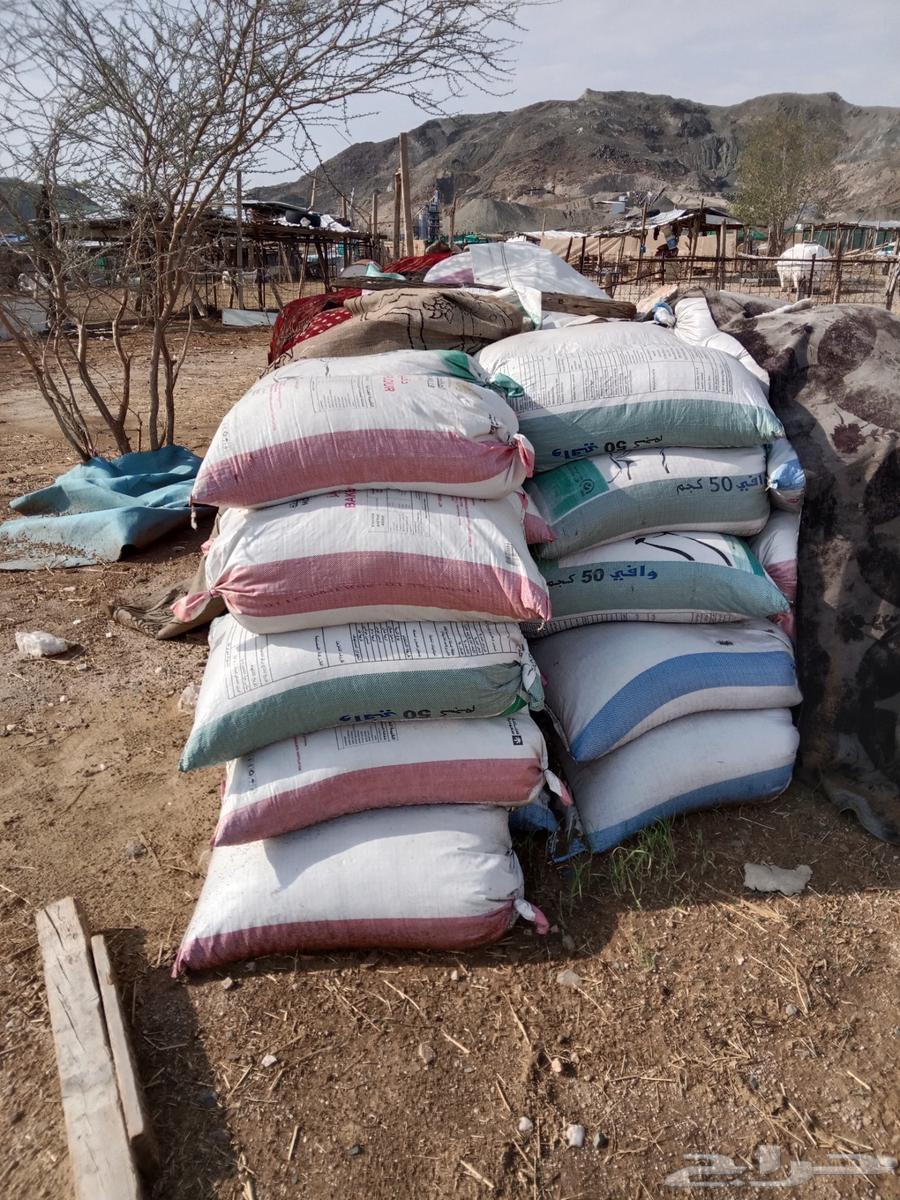 سماد أغنام لأهل المزارع64400314392451110