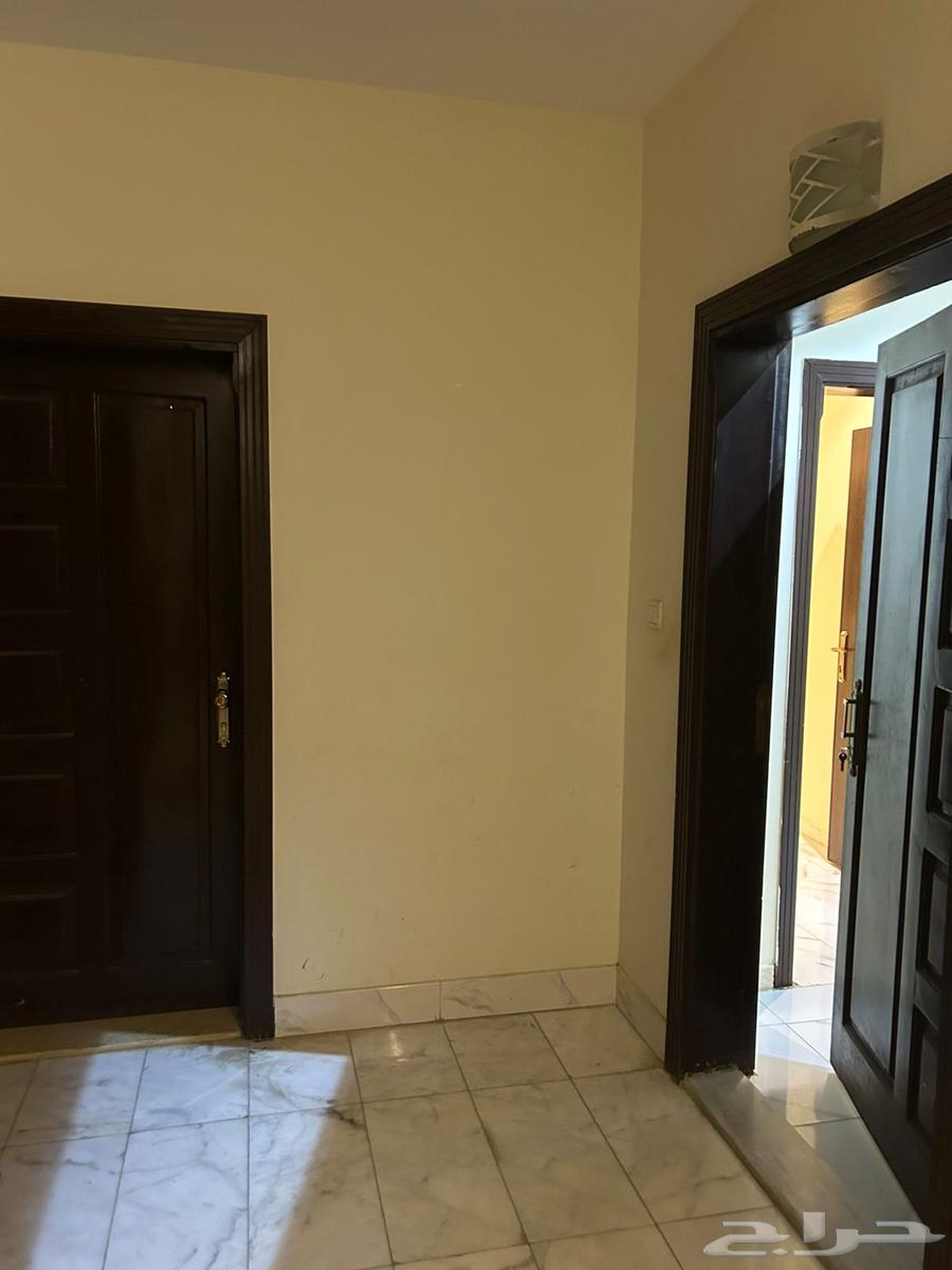 شقة للايجار - جدة حي الريان63613867923329110