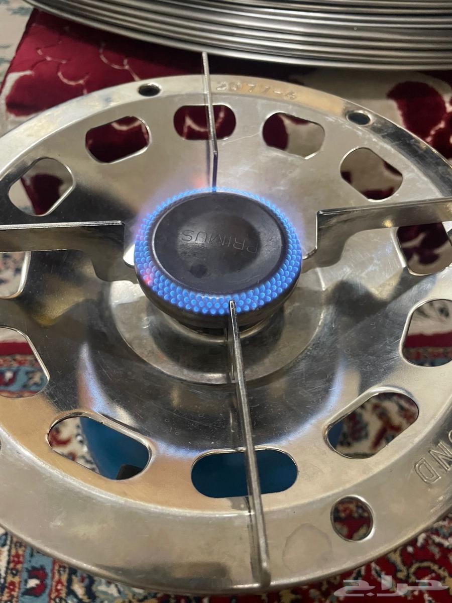 راس دافور بريموس64396199009411110