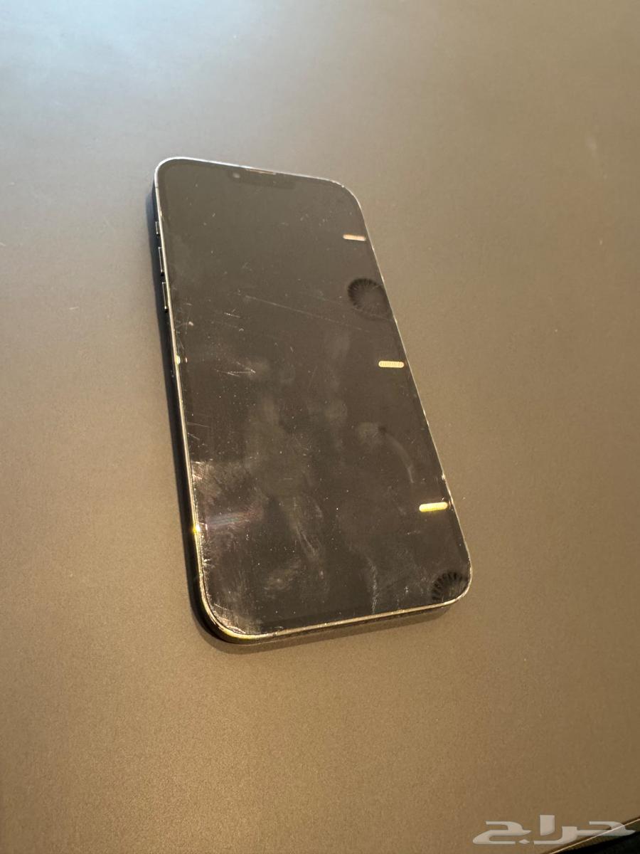 iPhone 13 Pro Max64397325555842111