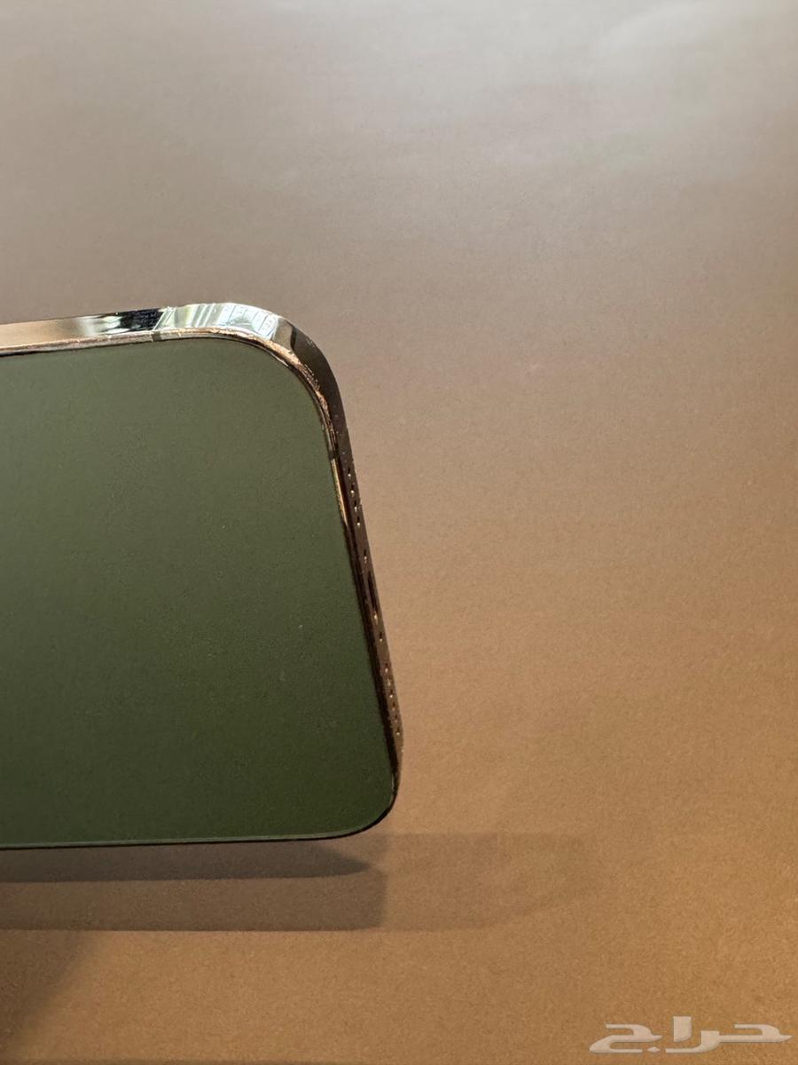 iPhone 13 Pro Max64397325555842114