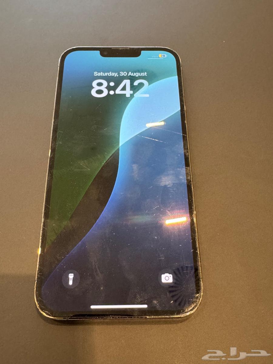 iPhone 13 Pro Max64397325555842110