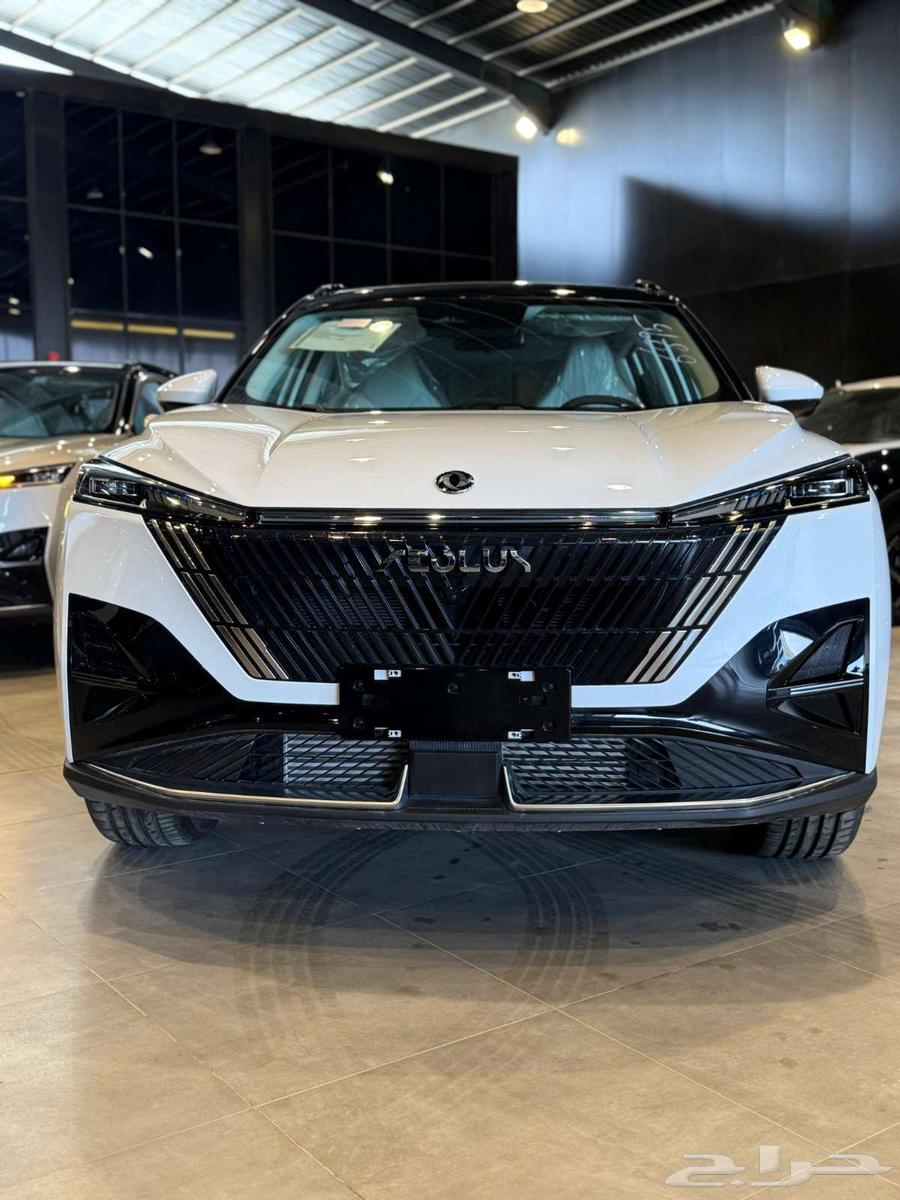 دونج فينج ميج فل كامل 2025 عرض خاص64545475440258113