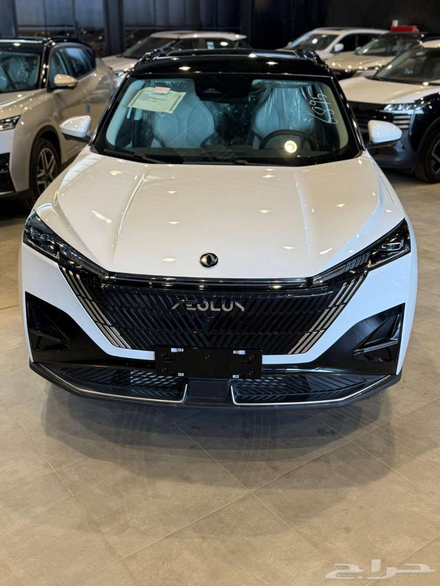 دونج فينج ميج فل كامل 2025 عرض خاص64545475440258112