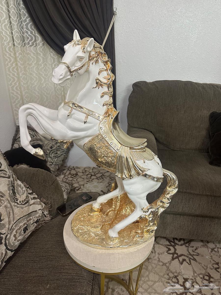 حصان زينة للبيع64398326305025110