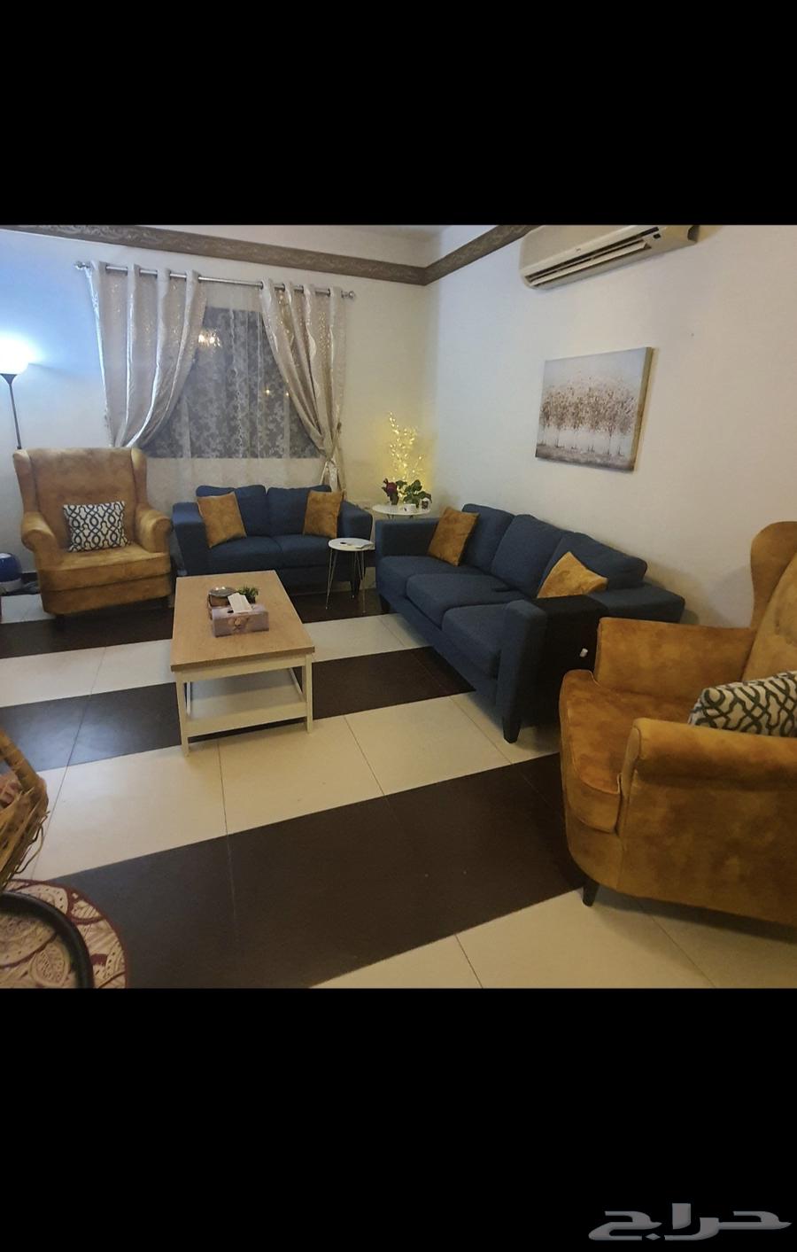 Clean sofa64398520752769110