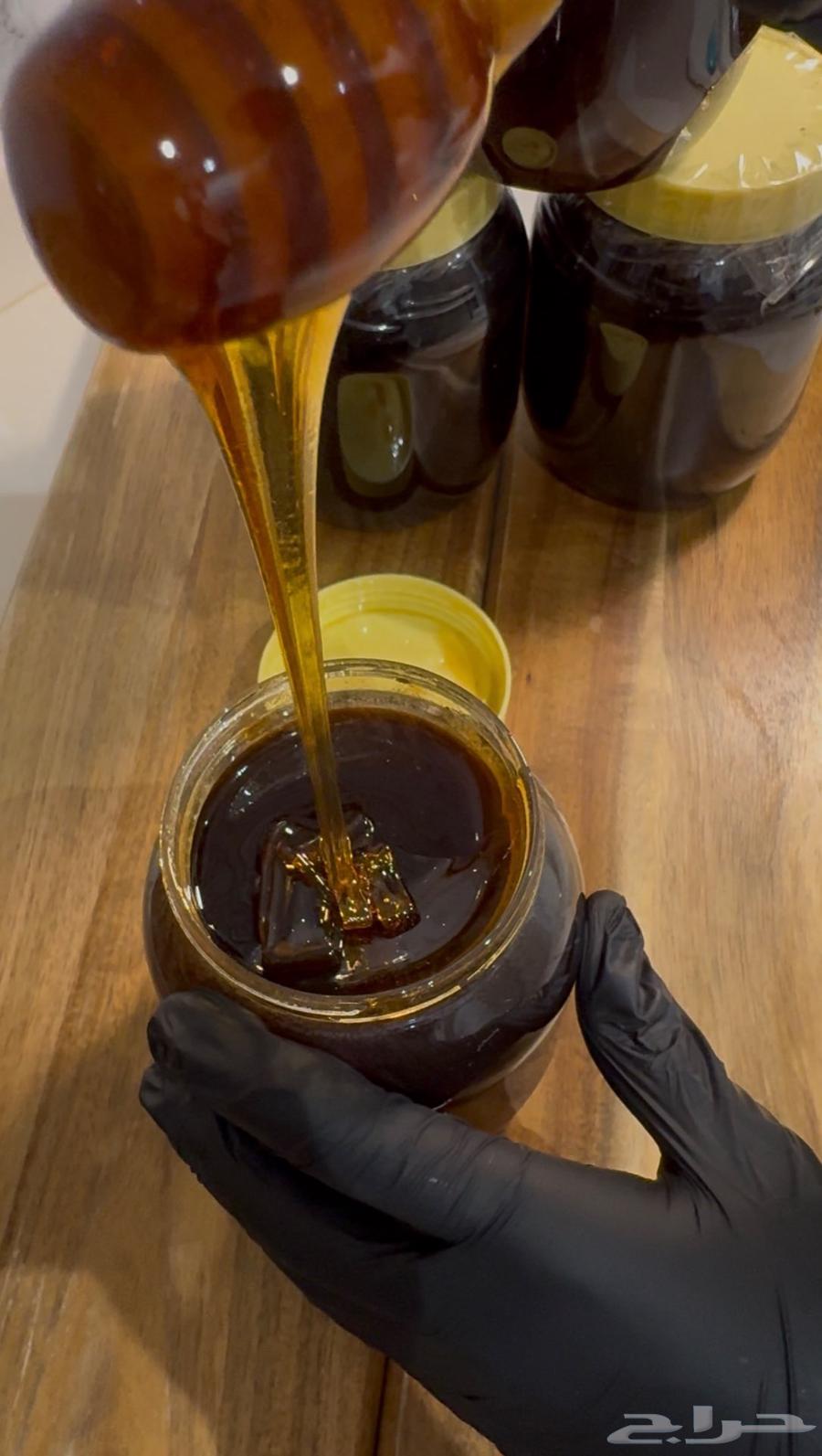 عسل طلح اصلي من محايل لأهل تبوك64399036597251110