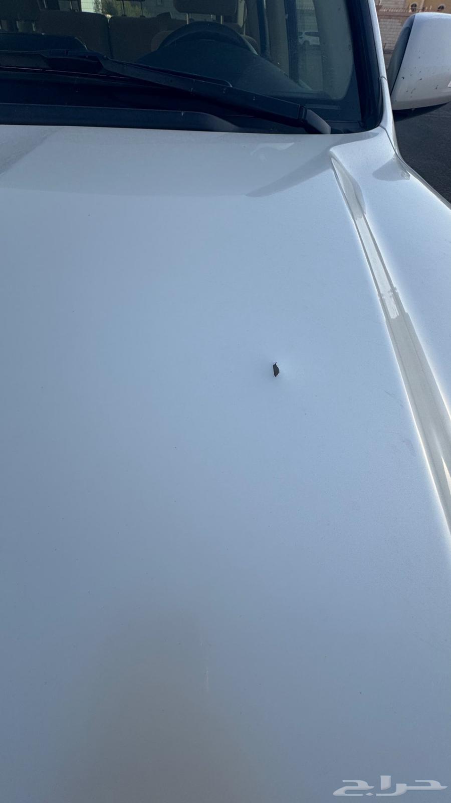 جكس ار هدد وارد اليحيى سعودي64551334156417113