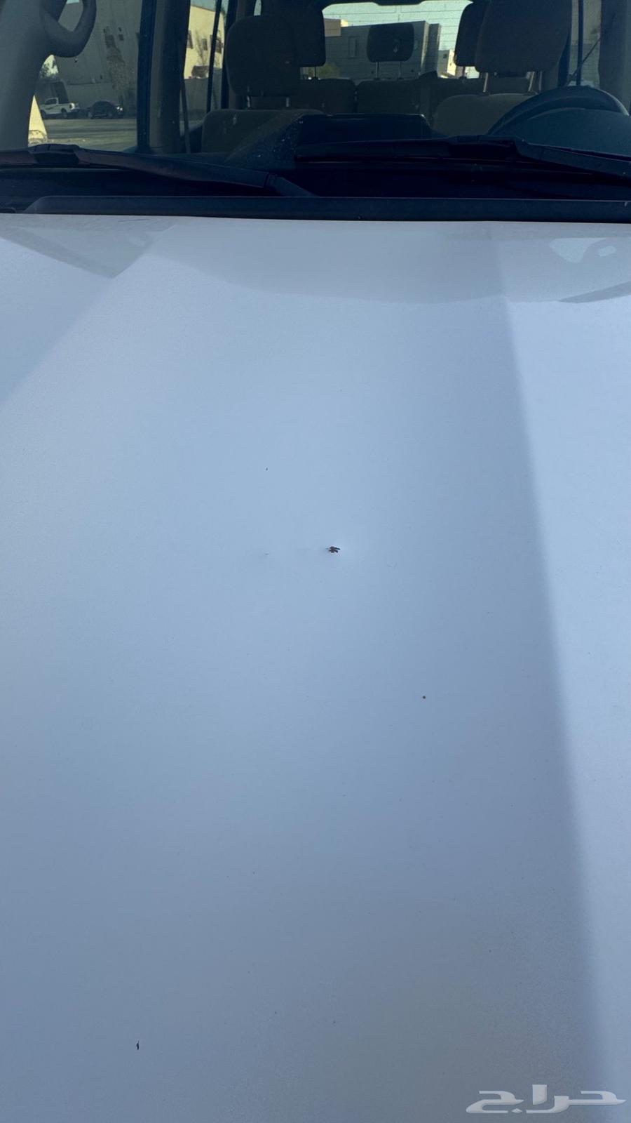 جكس ار هدد وارد اليحيى سعودي64551334156417114