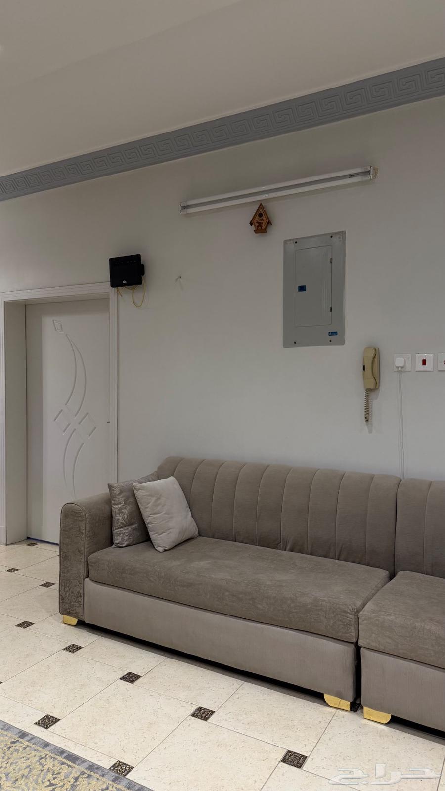 كنب ضيافة فخم64394523770883111