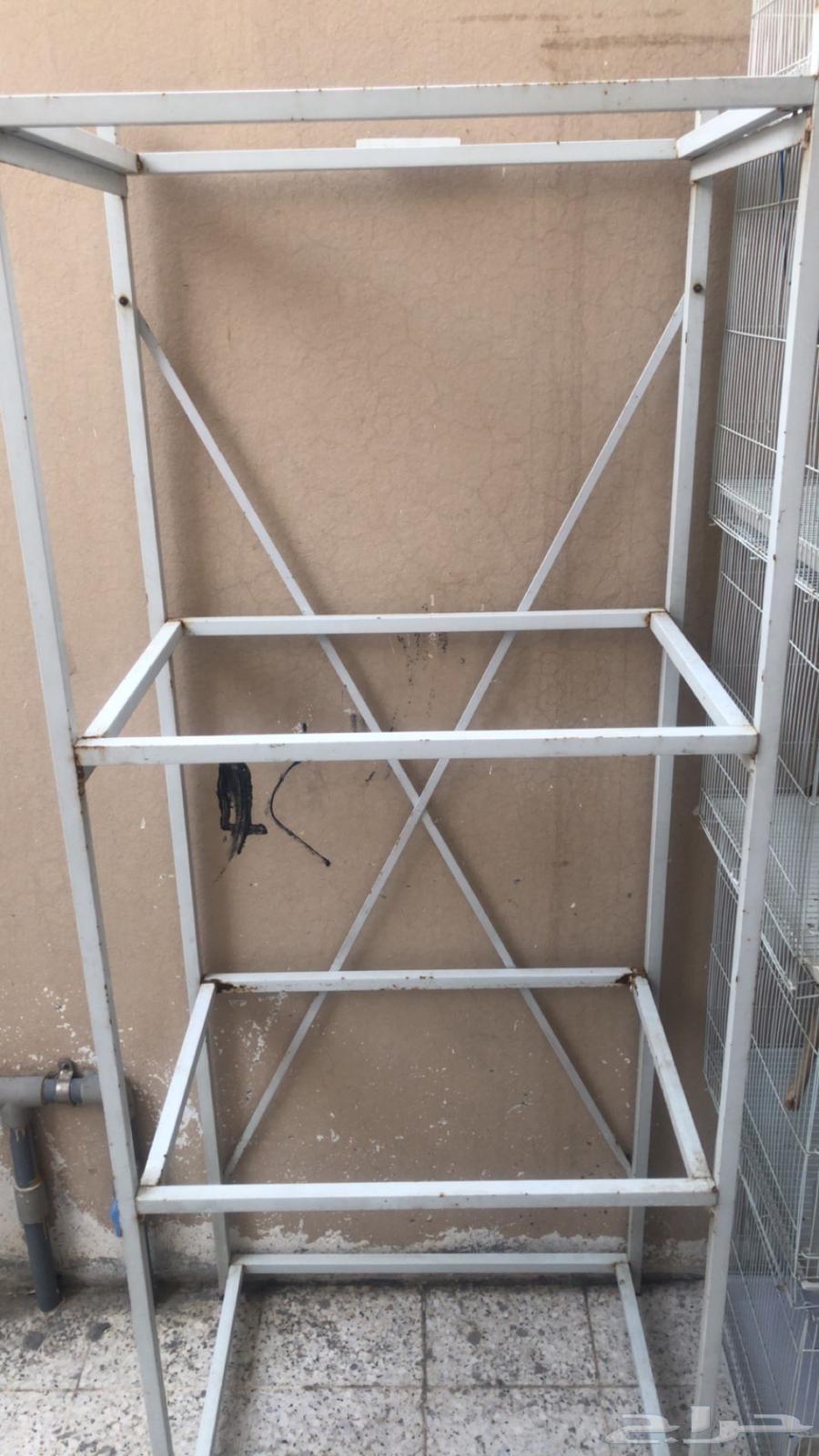 للبيع اقفاص 60164395088580353110